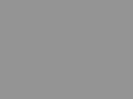 Rounded Rectangle 12 copy
